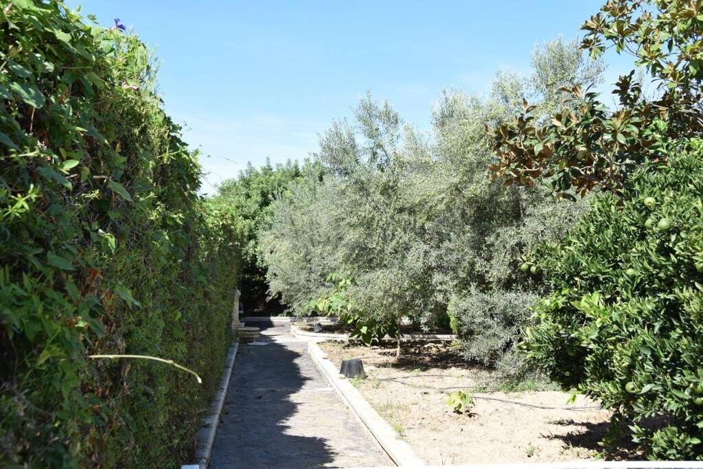 Casa Rural " La Bruja " Segorbe Kültér fotó